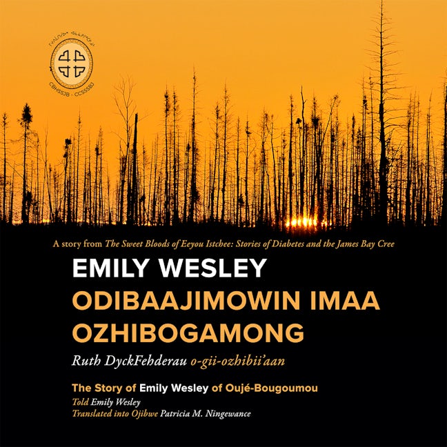 Book cover image for Emily Wesley Odibaajimowin imaa Ozhibogamong ISBN: 9780973054255
